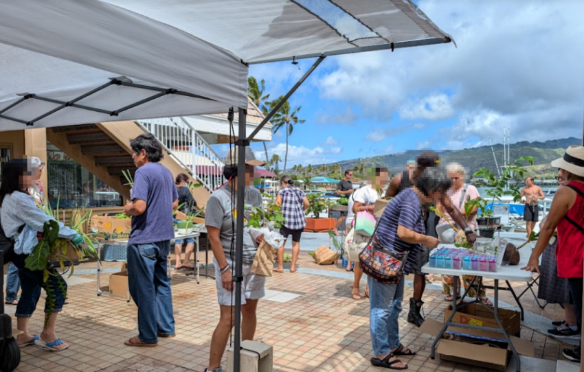 October 19 2024 Hawaii Kai Plant Exchange Find Us On The Waterfront