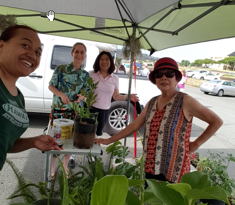Hawaii Kai Kaiser Farmer’s Market, Growing for you 2020