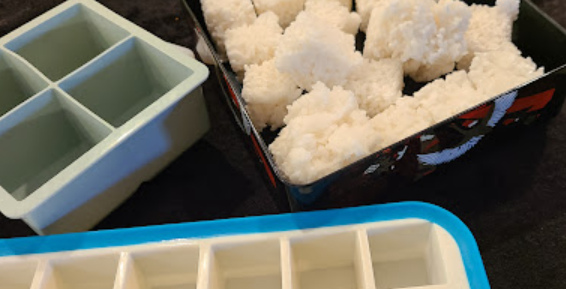 Frozen Rice Cubes