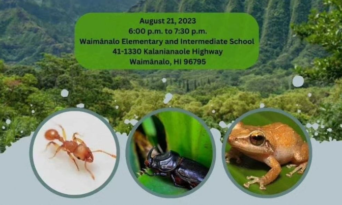 Invasive species meeting in Waimanalo August 21, 2023