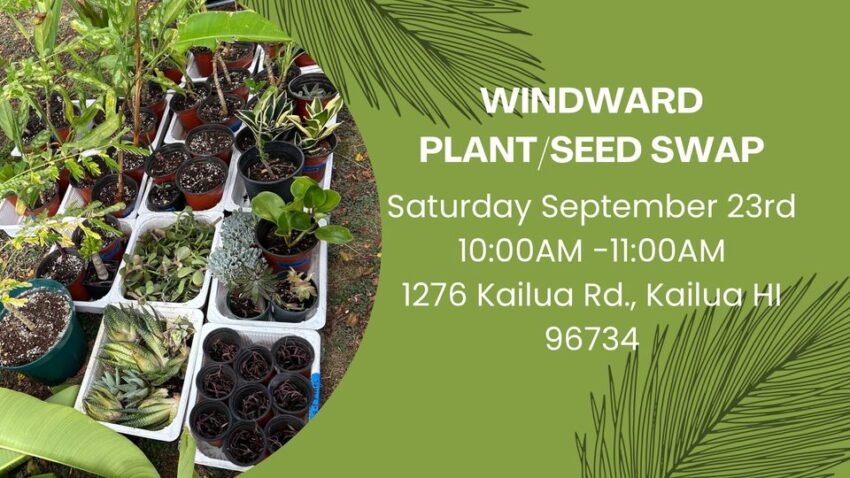 Kailua Plant Swap 1276 Kailua Rd Saturday Sept 23, 2023 10-11am