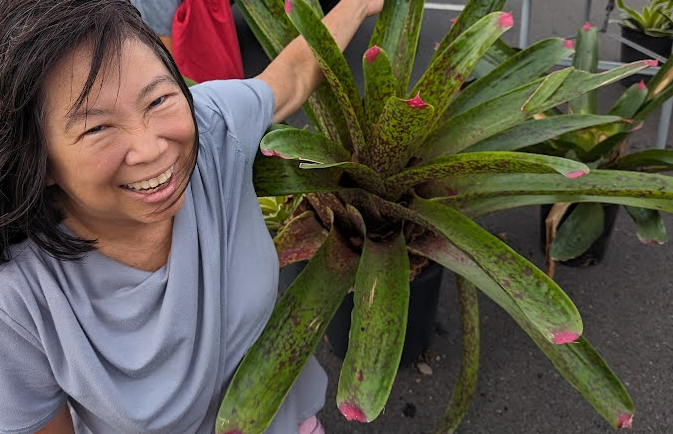 hawaii kai auntie next to a giant bromeliad at the plant exchange